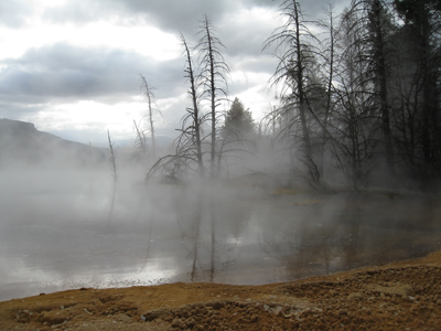 Mammoth Hot Springs