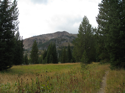 Mt. Sheridan